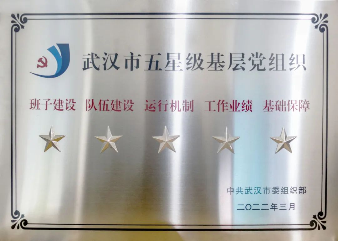 喜报丨腾飞人才党支部荣获“武汉市五星级基层党组织”荣誉称号